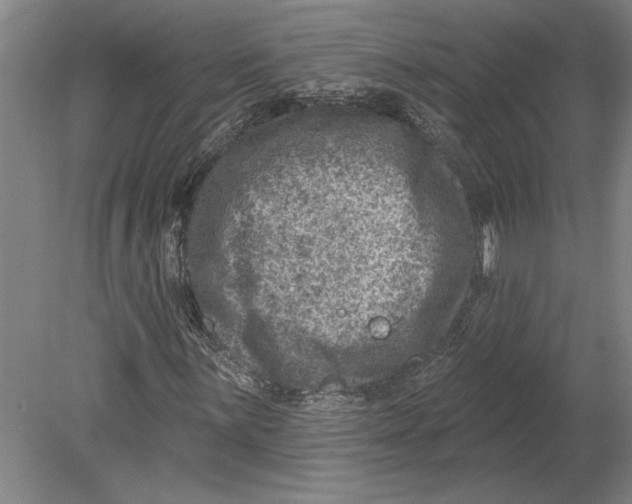 X0000080721059200701021048