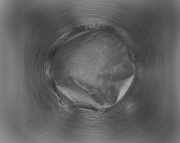 X0000080721060200701021048