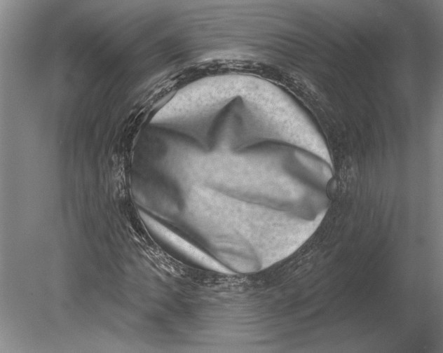 X0000080721062200701021048