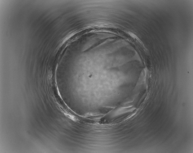 X0000080721065200701021048