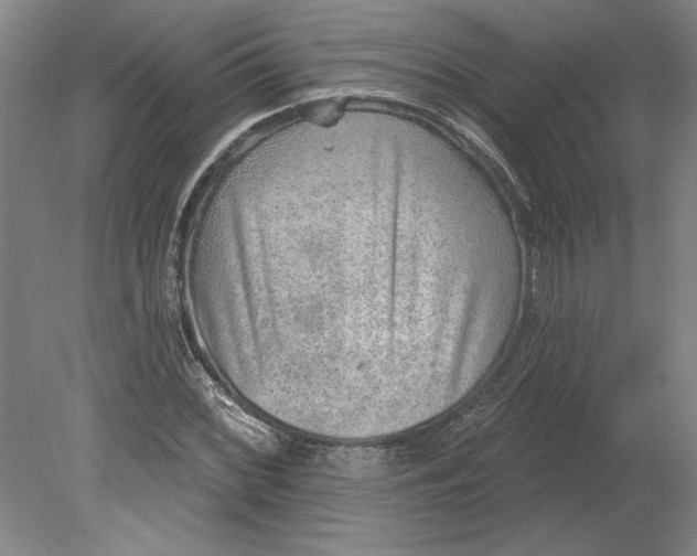 X0000080721068200701021048