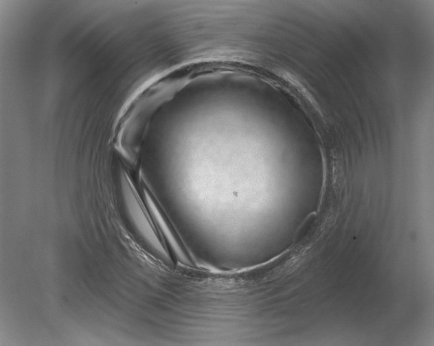 X0000080721069200701021048