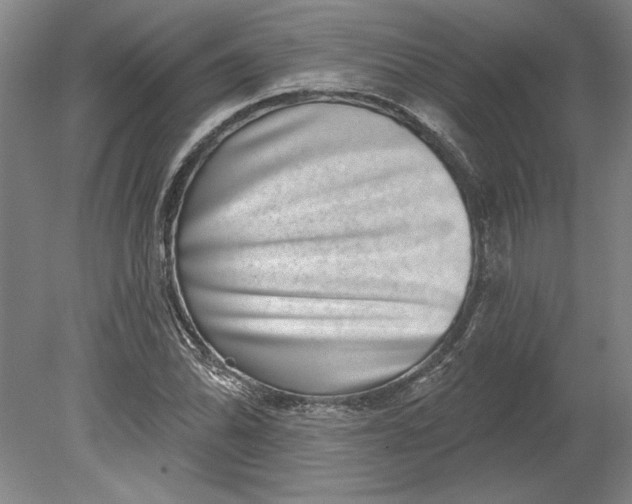 X0000080721070200701021048