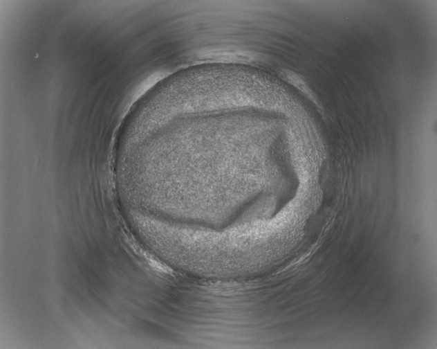 X0000080721071200701021048