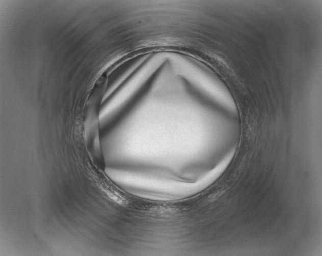 X0000080721073200701021048