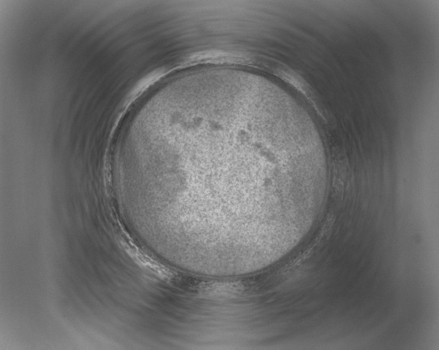 X0000080721074200701021048