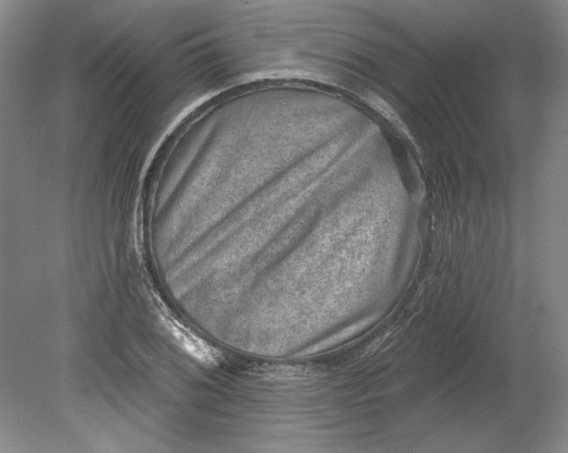 X0000080721076200701021048