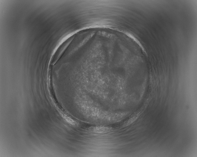 X0000080721077200701021048