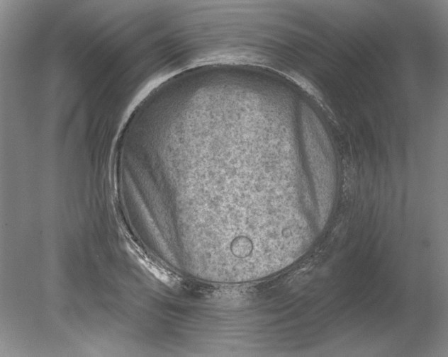 X0000080721078200701021048