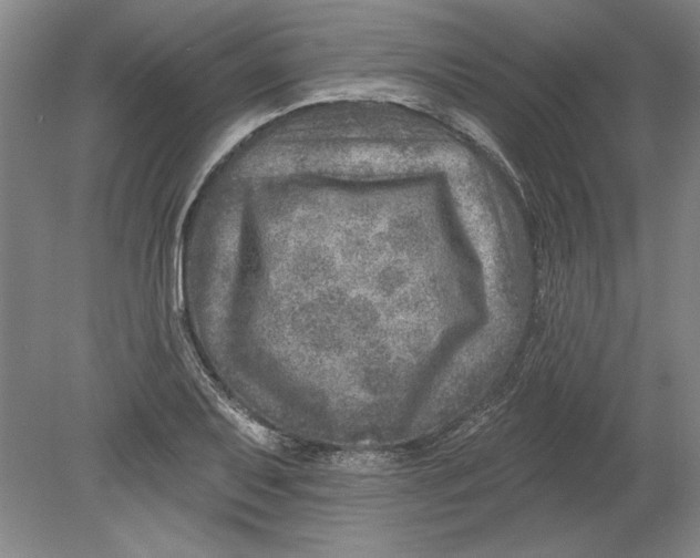 X0000080721079200701021048