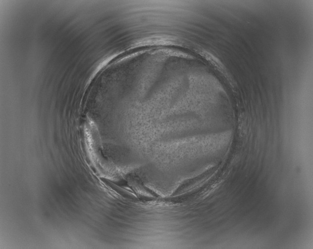 X0000080721081200701021048