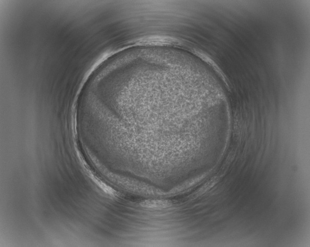 X0000080721083200701021048