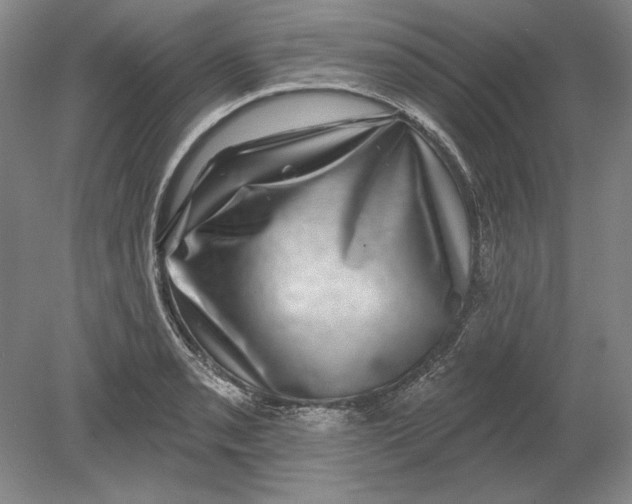 X0000080721085200701021048