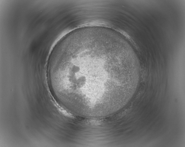 X0000080721086200701021048