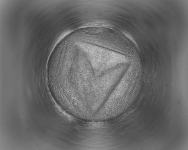 X0000080721087200701021048