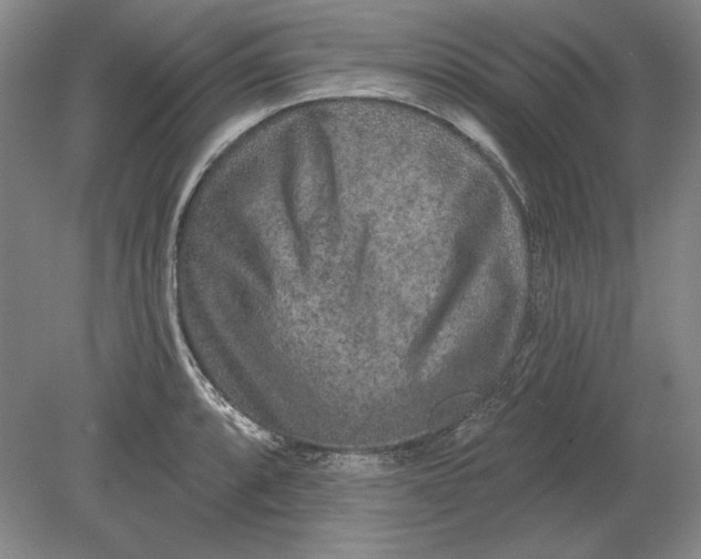 X0000080721088200701021048