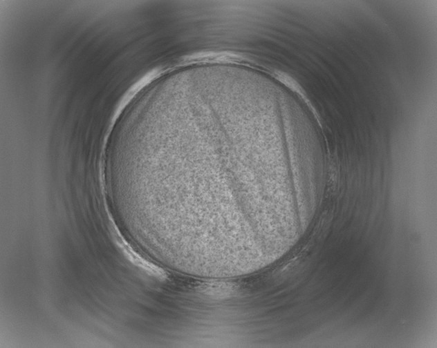 X0000080721090200701021048