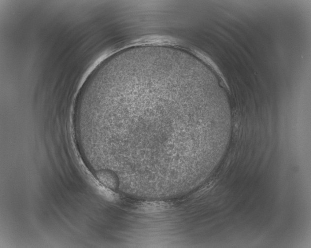 X0000080721091200701021048