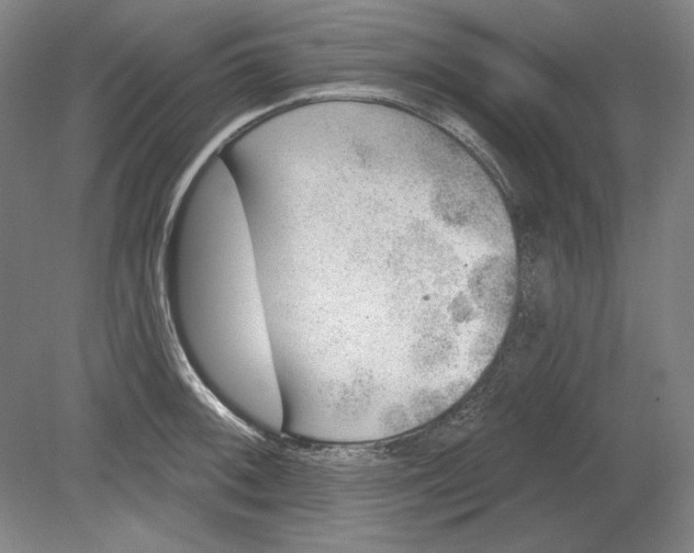 X0000080721092200701021048