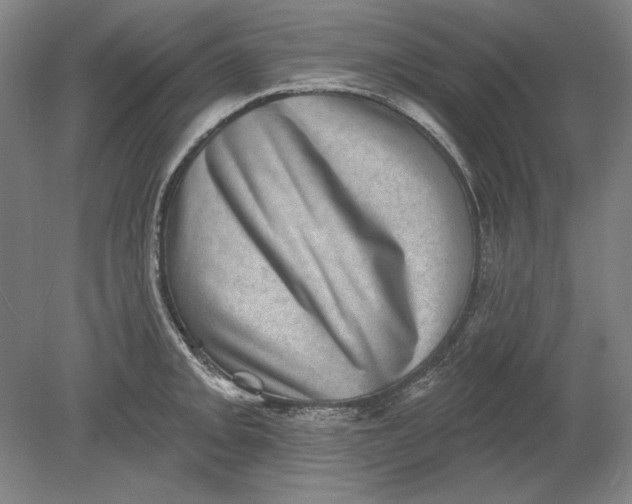 X0000080721093200701021048