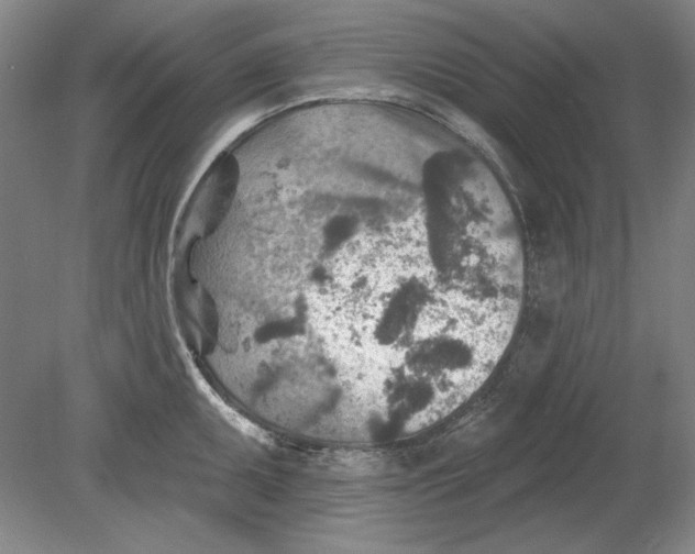 X0000080721095200701021048