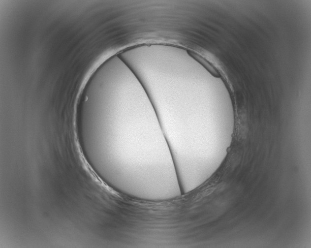 X0000080721096200701021048