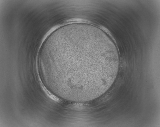 X0000080721098200701021048