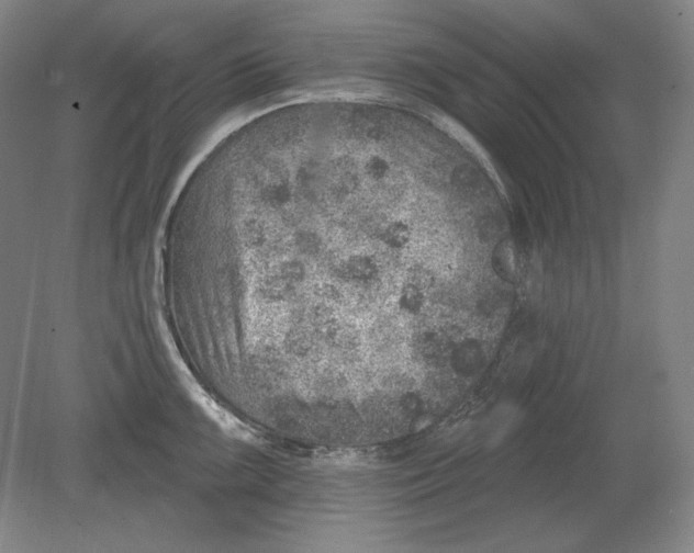 X0000080721099200701021048