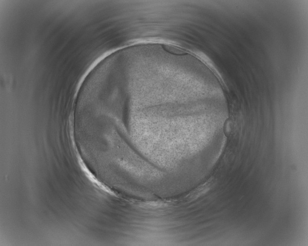 X0000080721100200701021048