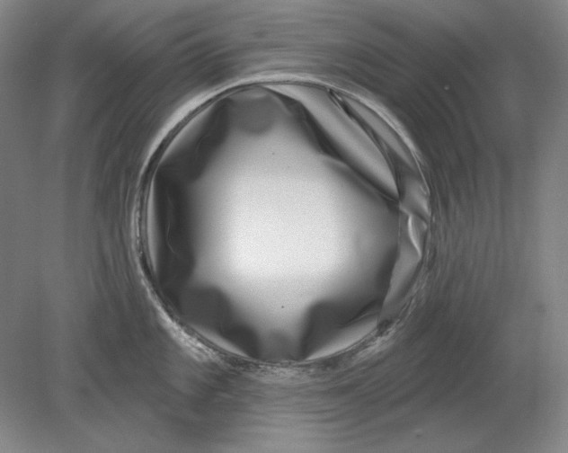 X0000080721101200701021048