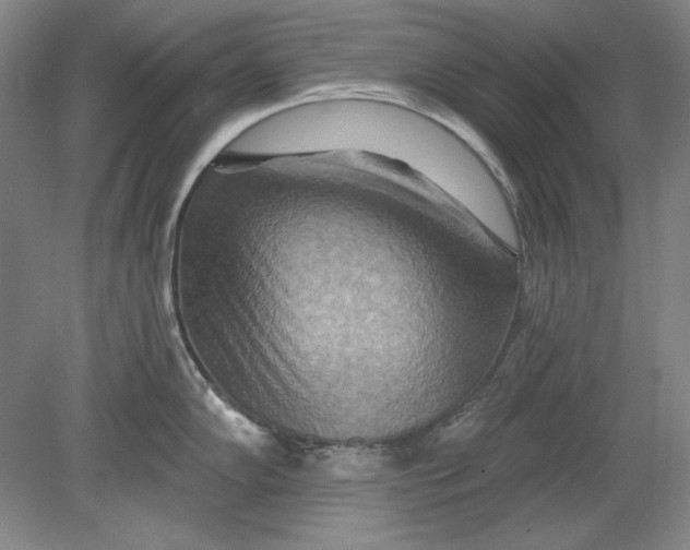 X0000080721102200701021048