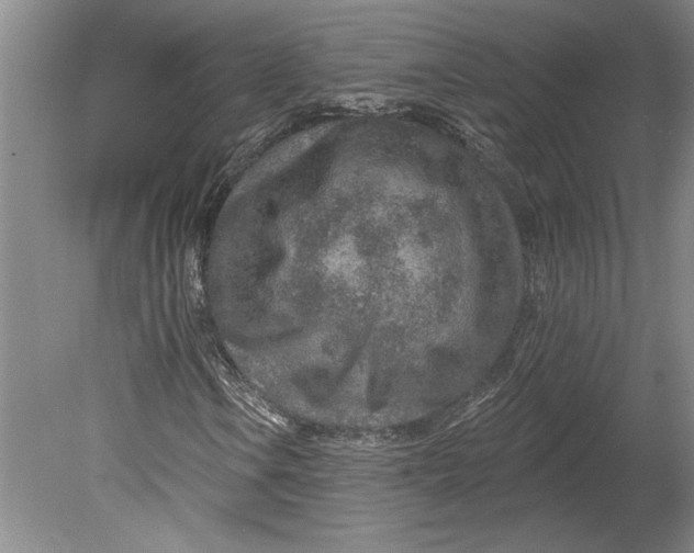 X0000080721106200701021047