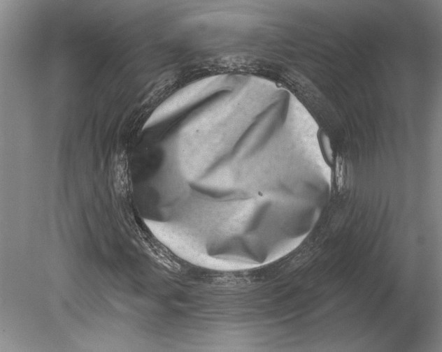 X0000080721107200701021047