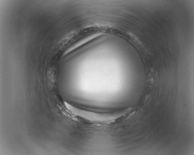 X0000080721110200701021047