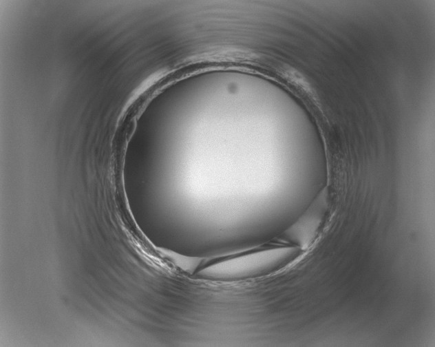 X0000080721114200701021047