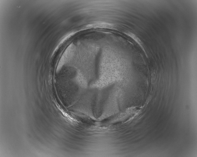 X0000080721115200701021047