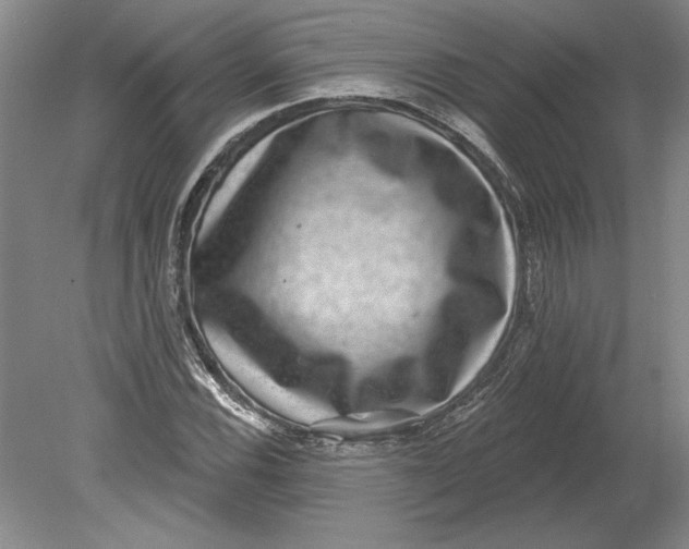 X0000080721116200701021047