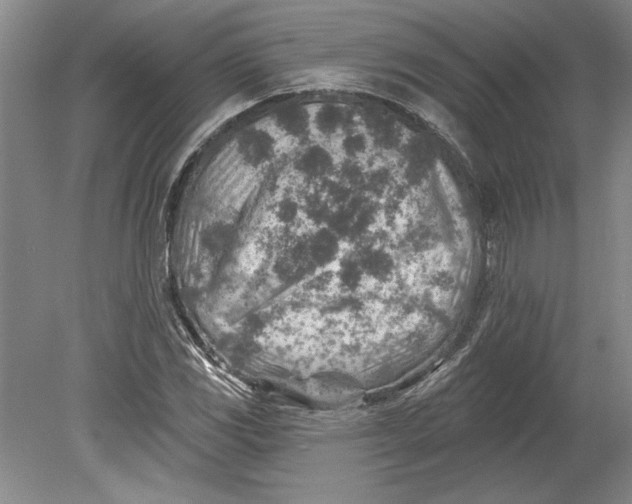 X0000080721117200701021047