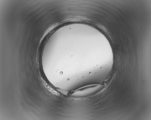 X0000080721122200701021047