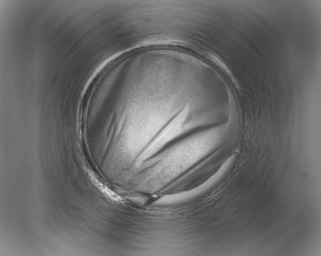 X0000080721124200701021047