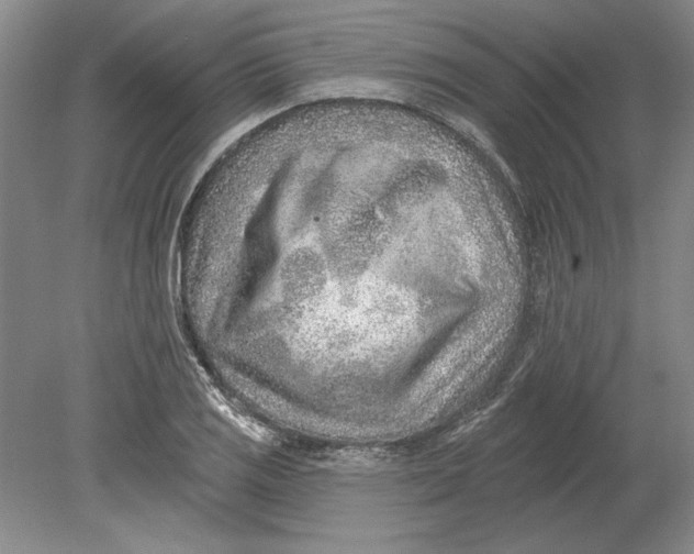 X0000080721125200701021047