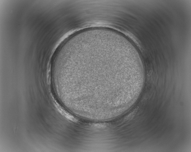 X0000080721126200701021047