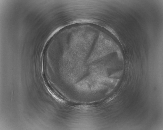 X0000080721127200701021047