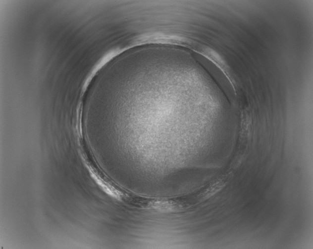 X0000080721128200701021047