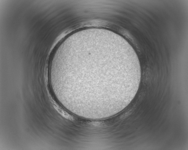 X0000080721130200701021047