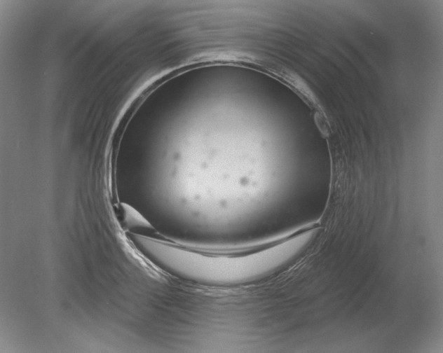 X0000080721132200701021047