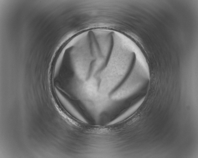 X0000080721135200701021047