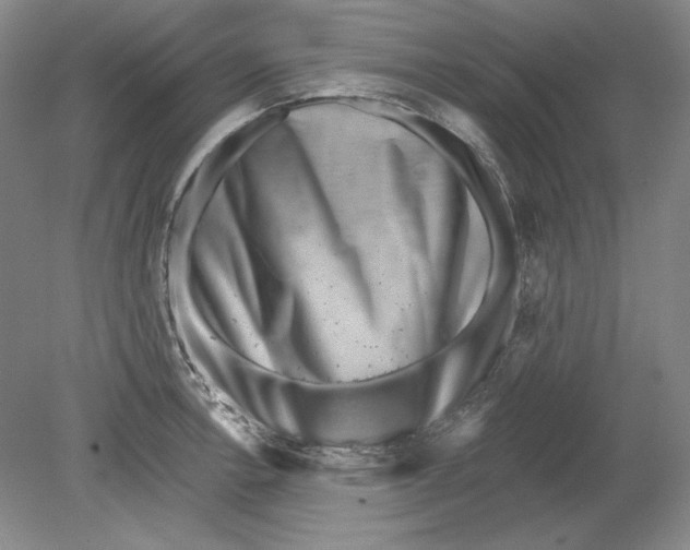 X0000080721138200701021047