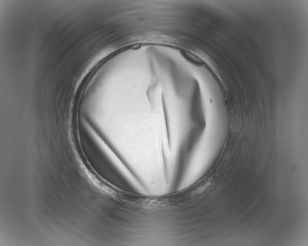 X0000080721139200701021047