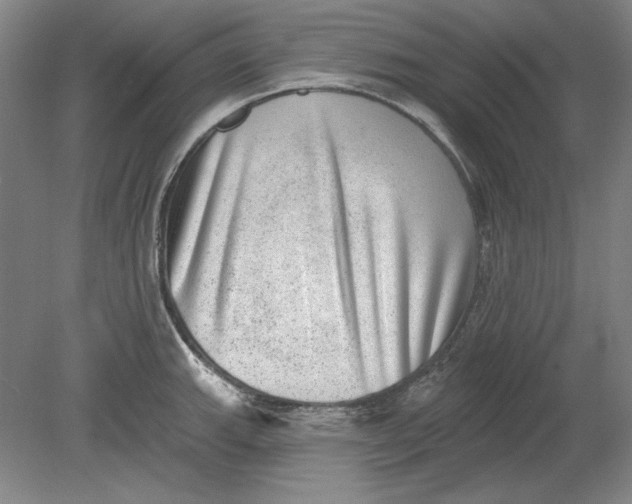 X0000080721143200701021047